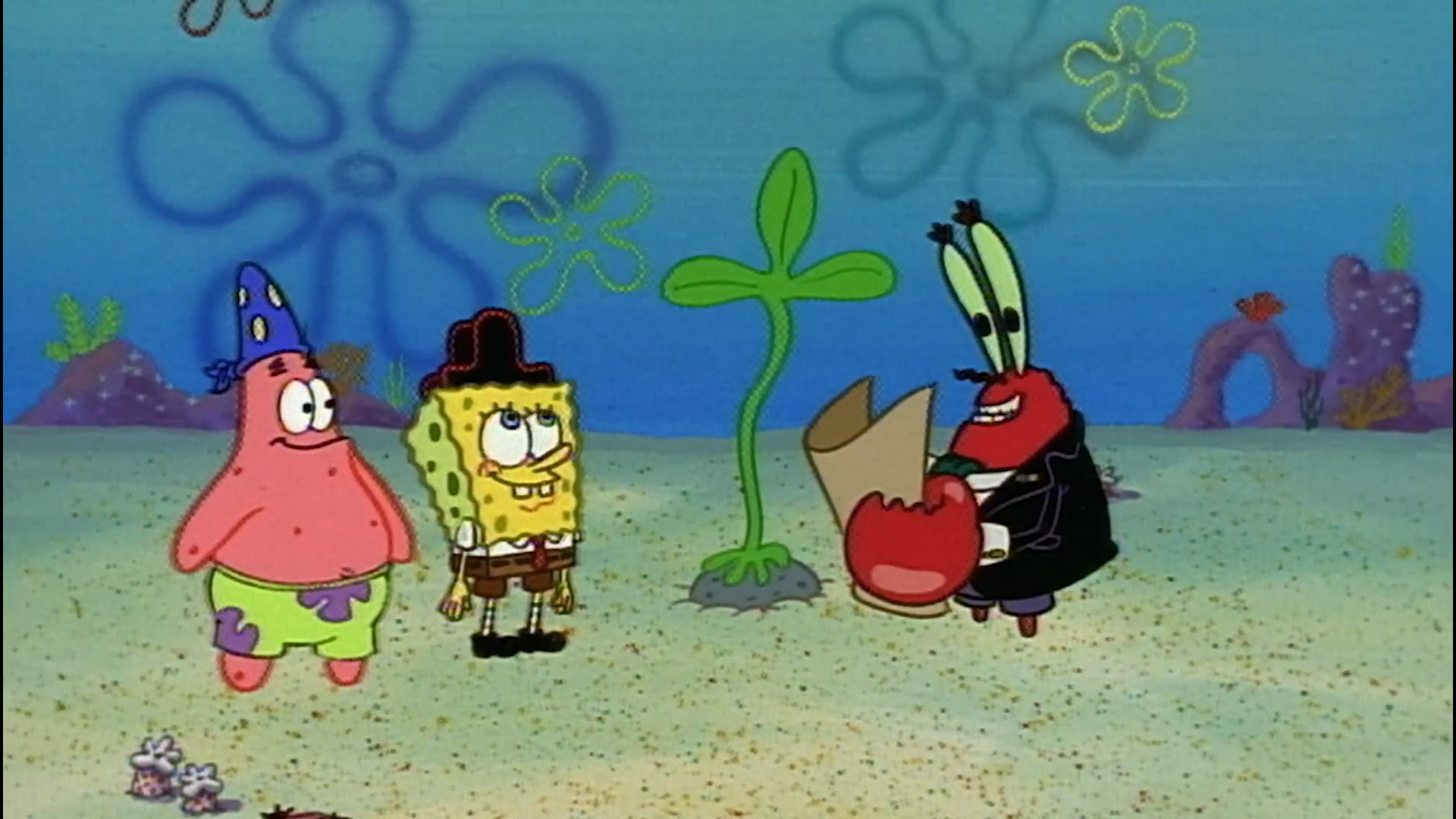 باب اسفنجی جدید  به دنبال گنج...