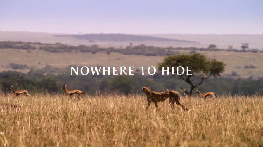 مستندشکار-قسمت 5 - جایی برای پنهان شدن نیست (دشت) (دوبله فارسی) Nowhere to Hide زمان3484ثانیه