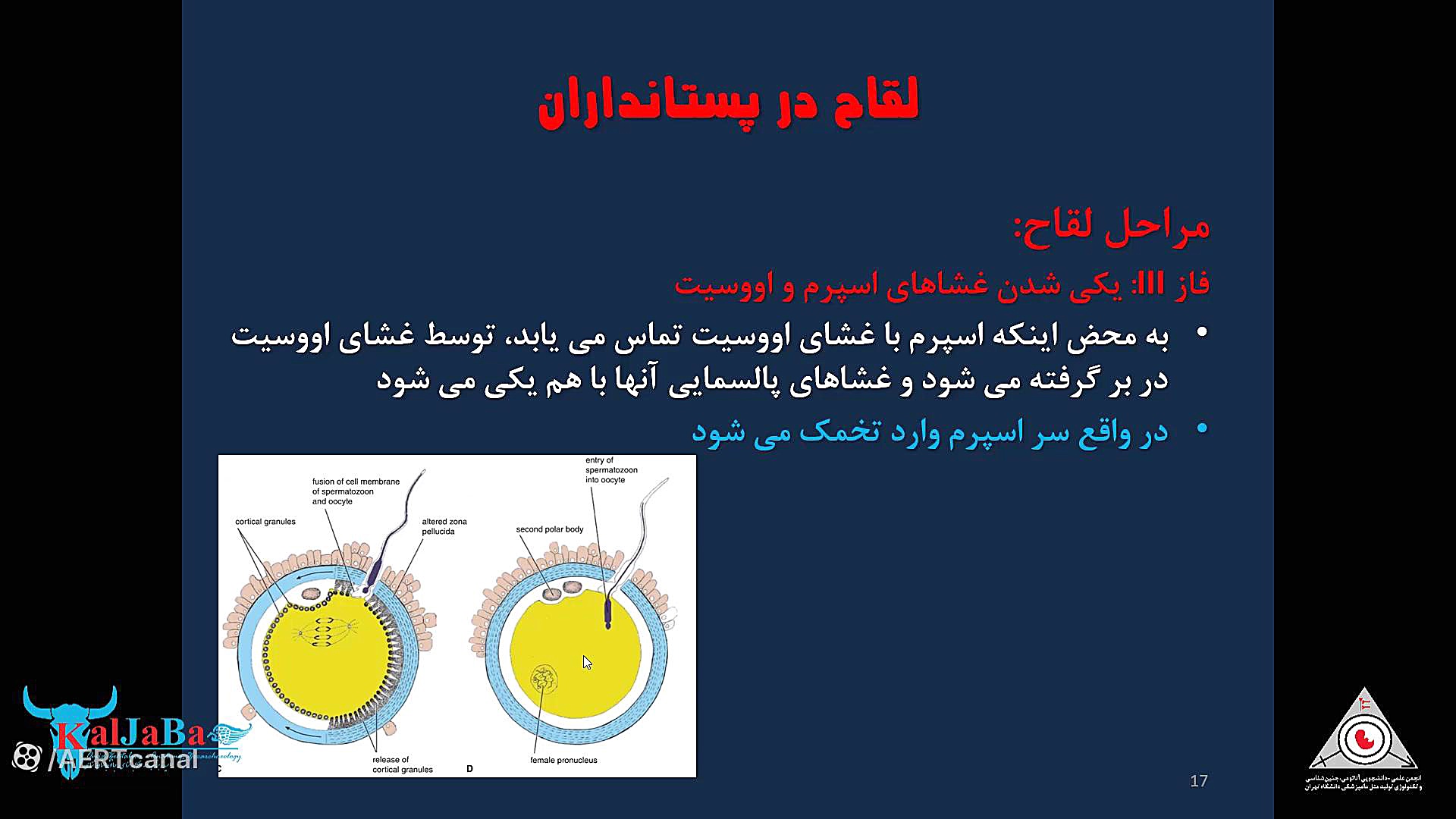 جنین شناسی دامپزشکی، جلسه سوم: لقاح پروتز سینه