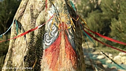 تریلر Dying Light The Followin...