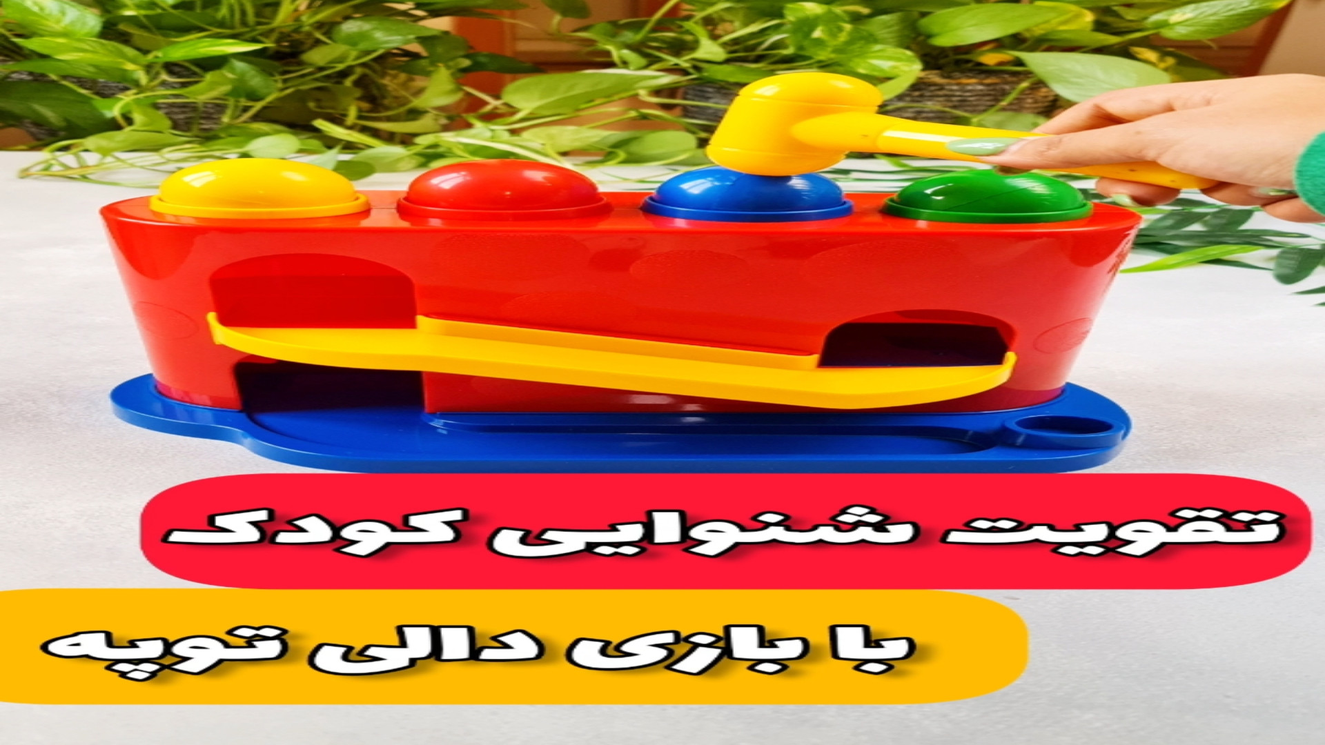 دالی توپه عمل زیبایی