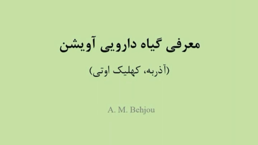 معرفی گیاه دارویی آویشن