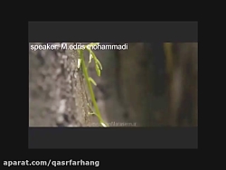 کلیپ کوتاه خانواده در اسلام