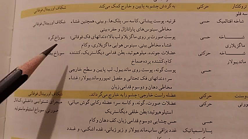 عصب سه‌قلو (عصب تریژمینال) فیلم خارجی