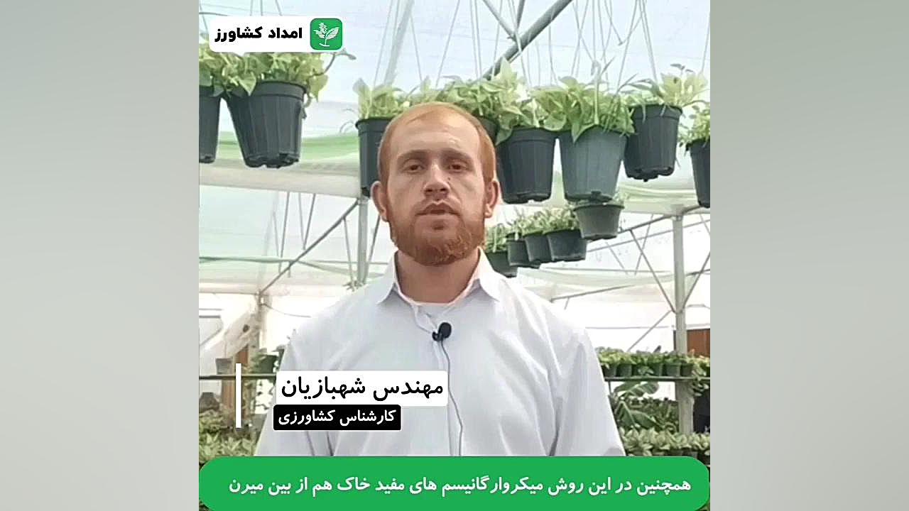 ضد عفونی گلخانه مایکل جردن