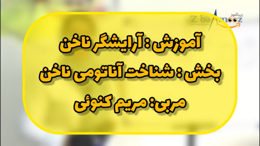 شناخت آناتومی ناخن