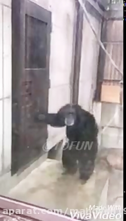 وقتی دسشویی داریو ......