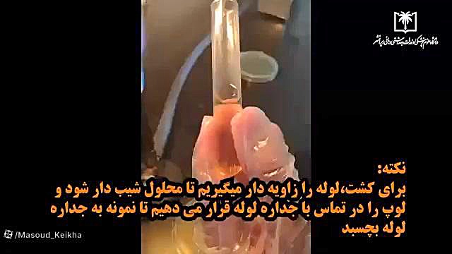 آموزش کشت باکتری در محیط های مایع سیتوژنتیک مولکولی