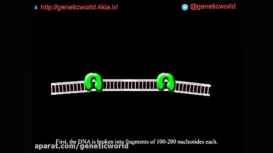 NGS - Next generation sequencing تیک‌تاک