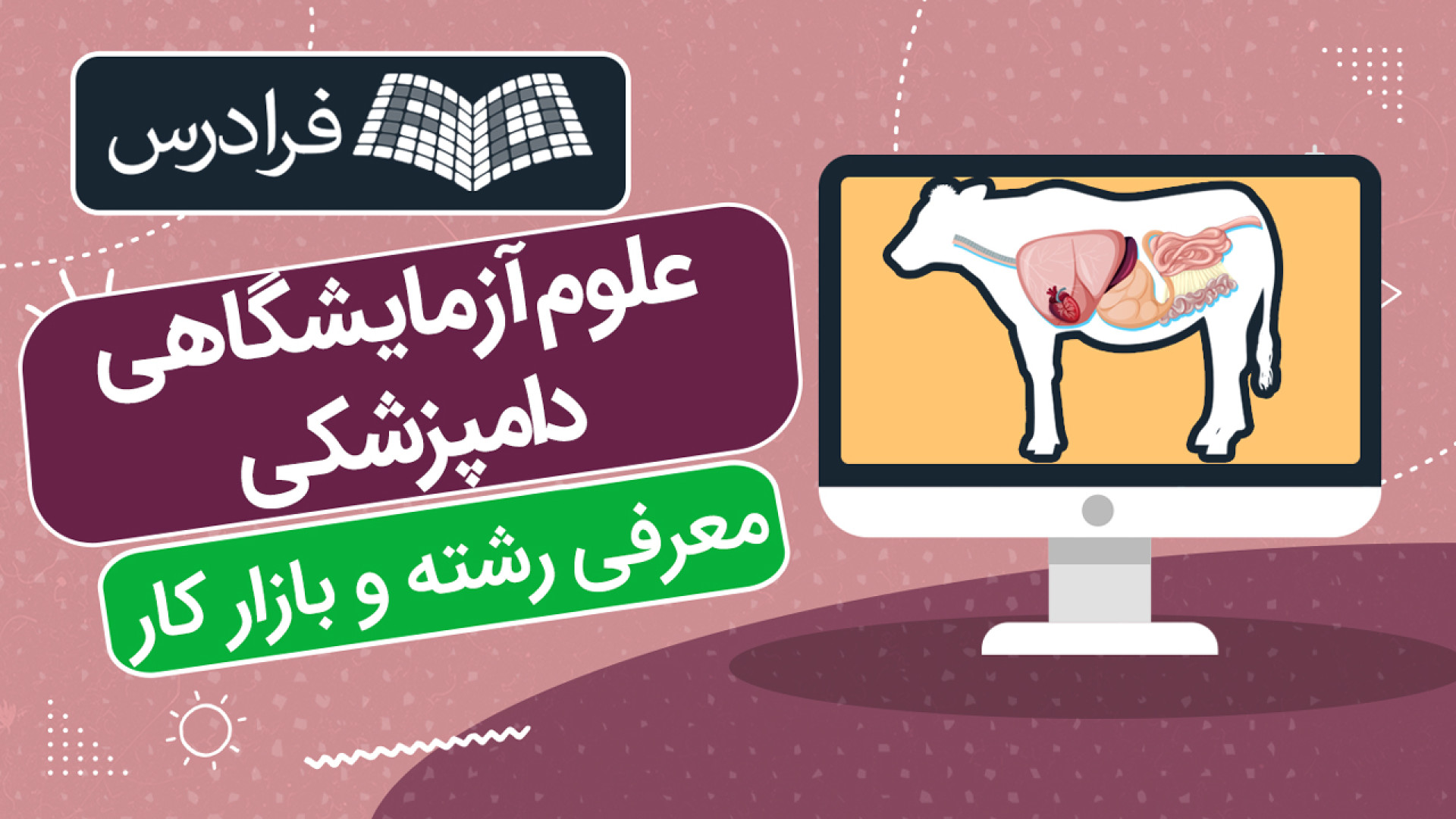 معرفی رشته علوم آزمایشگاهی دامپزشکی دانشگاه، بازار کار، ادامه تحصیل و مهاجرت رفع افتادگی پلک