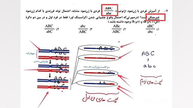تحلیل تست ۲، کنکور تیر ماه ۱۴۰۲ بررسی اروماتاز