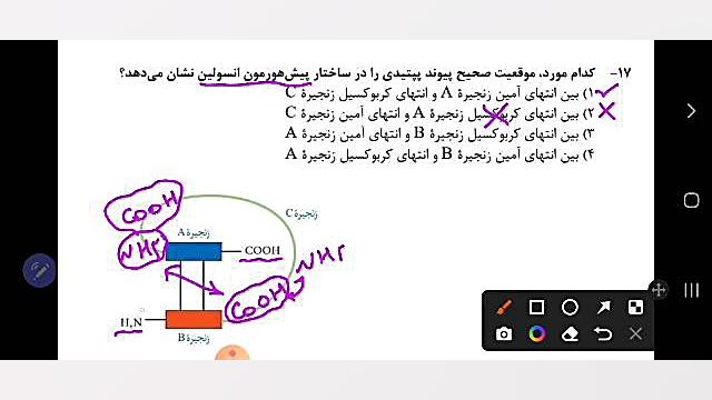تحلیل تست شماره ۱۷ کنکور تیر ماه ۱۴۰۲ بهنوش بختیاری