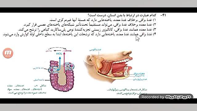 تحلیل تست ۴۱، زیست کنکور تیرماه ۱۴۰۲ عمه پری