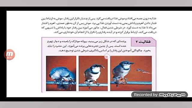 تحلیل تست۴۳، زیست کنکور تیرماه ۱۴۰۲ لیفت صورت