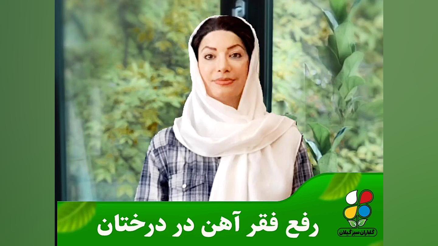 رفع فقر آهن در درختان لیفت گردنایمپلنت دندان