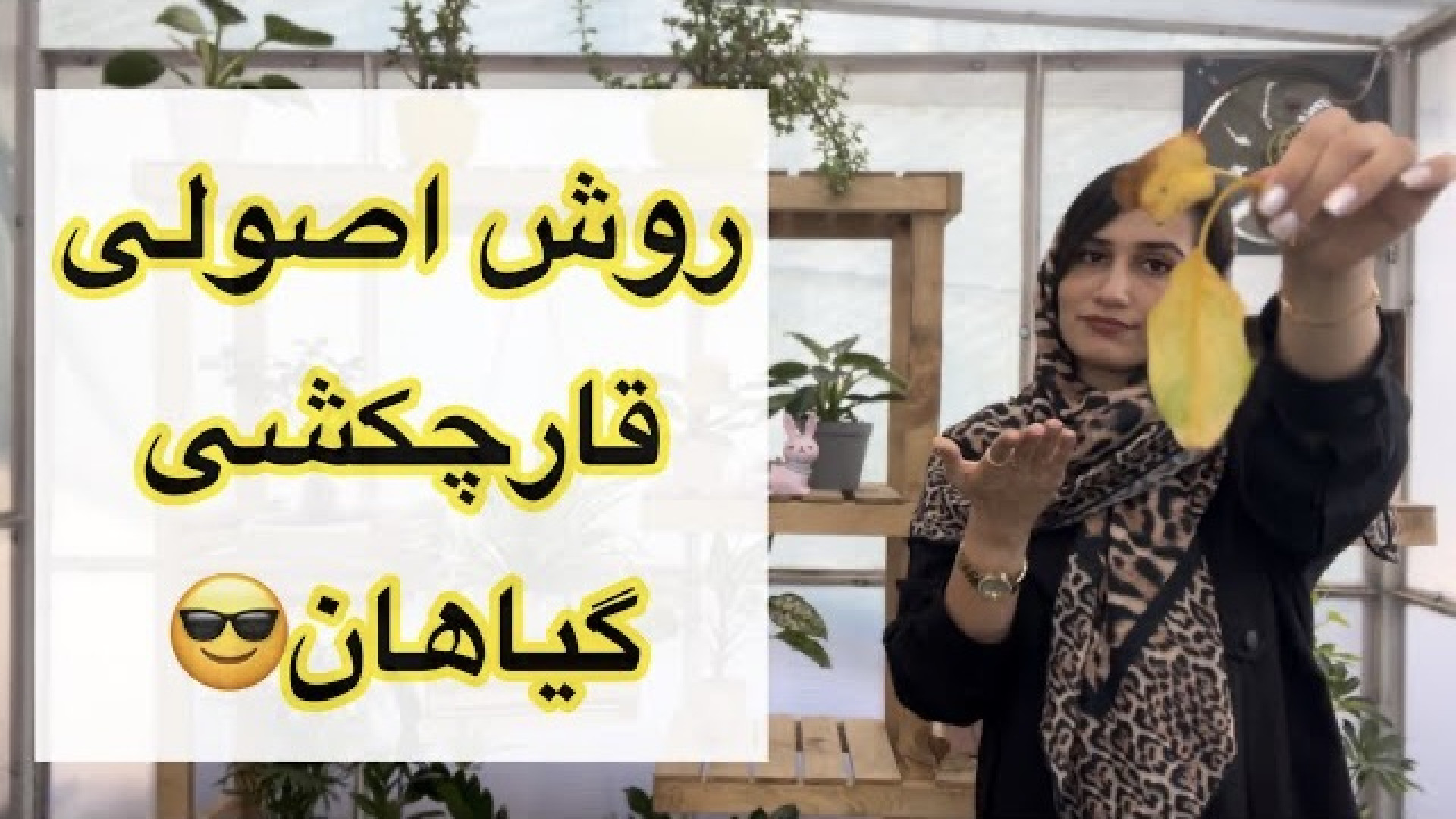 علت بیماری قارچی گیاهان| روش اصولی قارچکشی گیاه و درمان گیاه قارچی نوروجراحی فانکشنال
