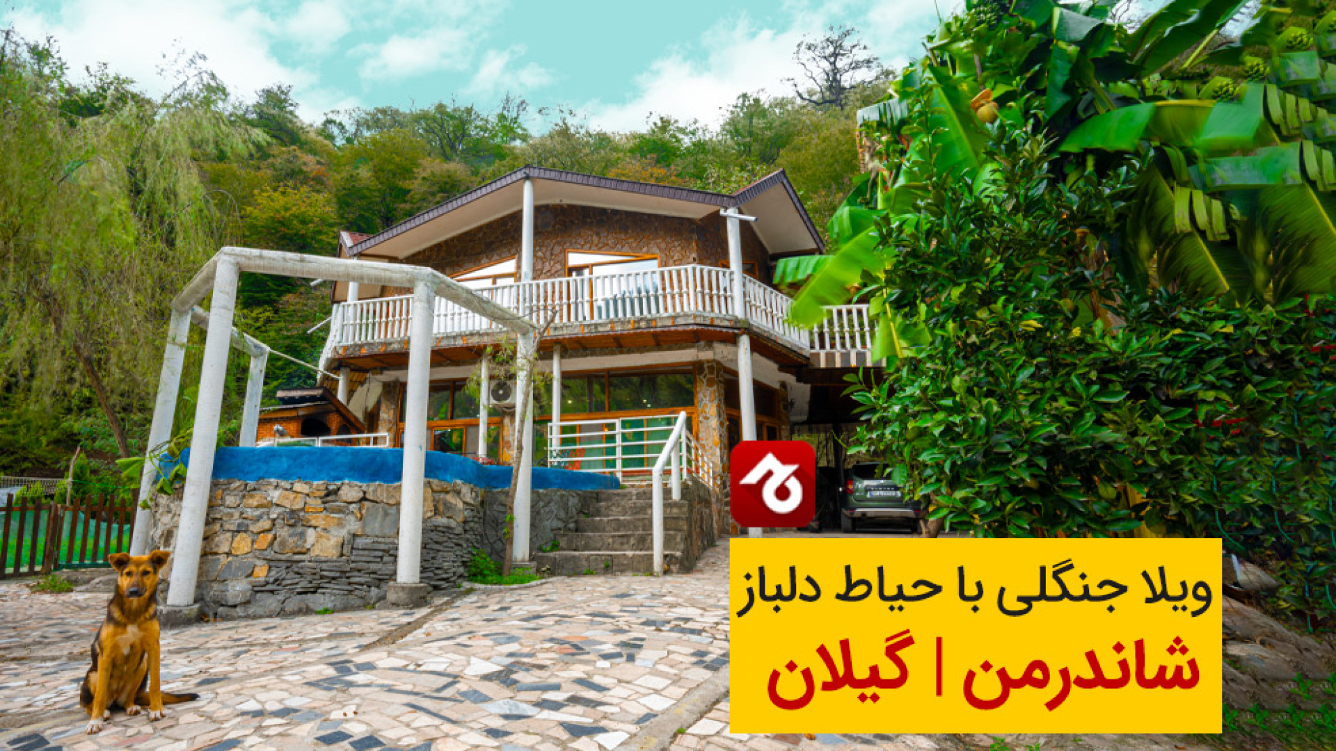 پوستر بزرگ