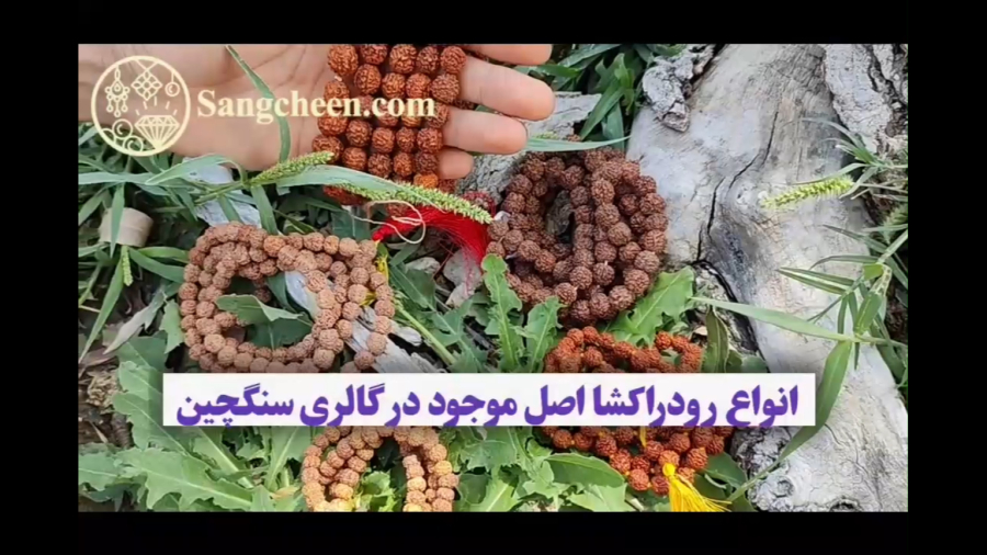 انواع رودراکشا اصل هندی