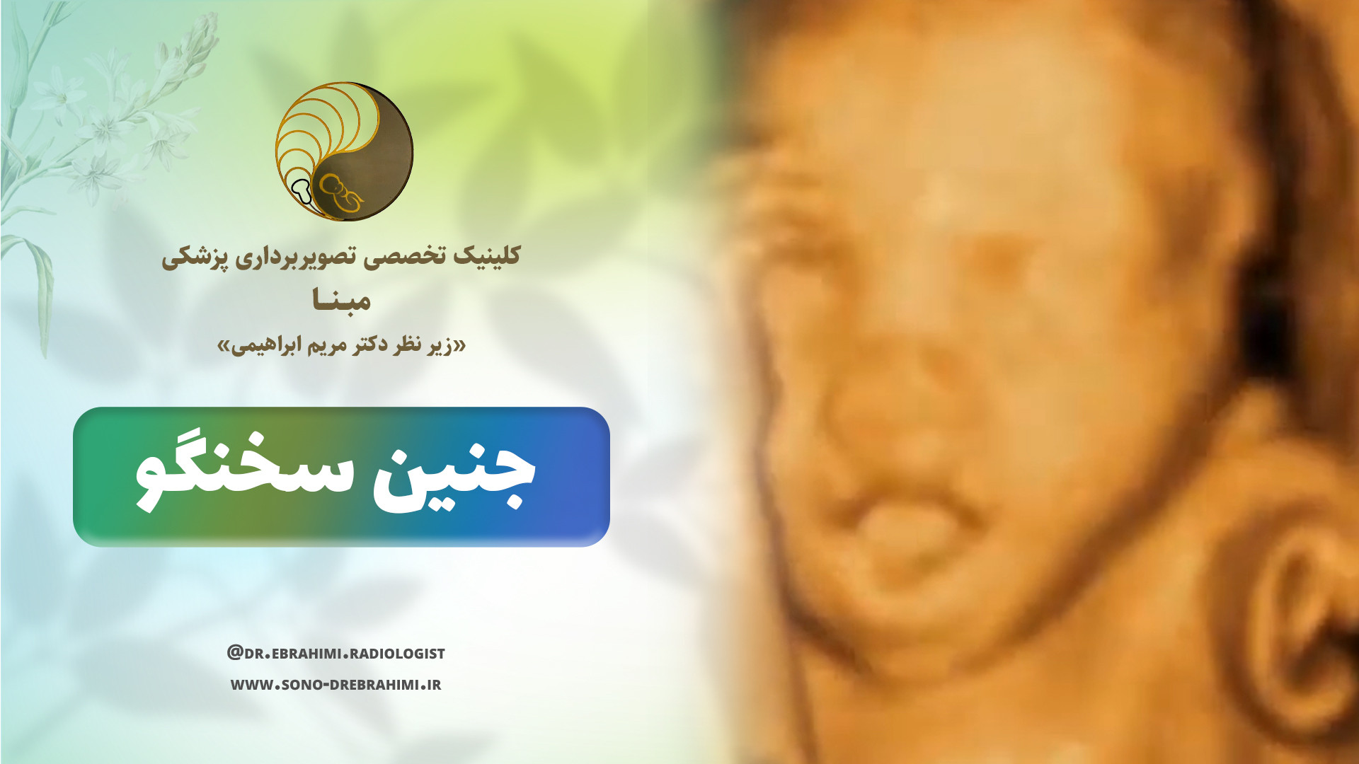 جنین سخنگو مرکز تصویربرداری دکتر مریم ابراهیمی، مبنا-تهران