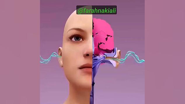 حس شنوایی بلاگر هپروتی