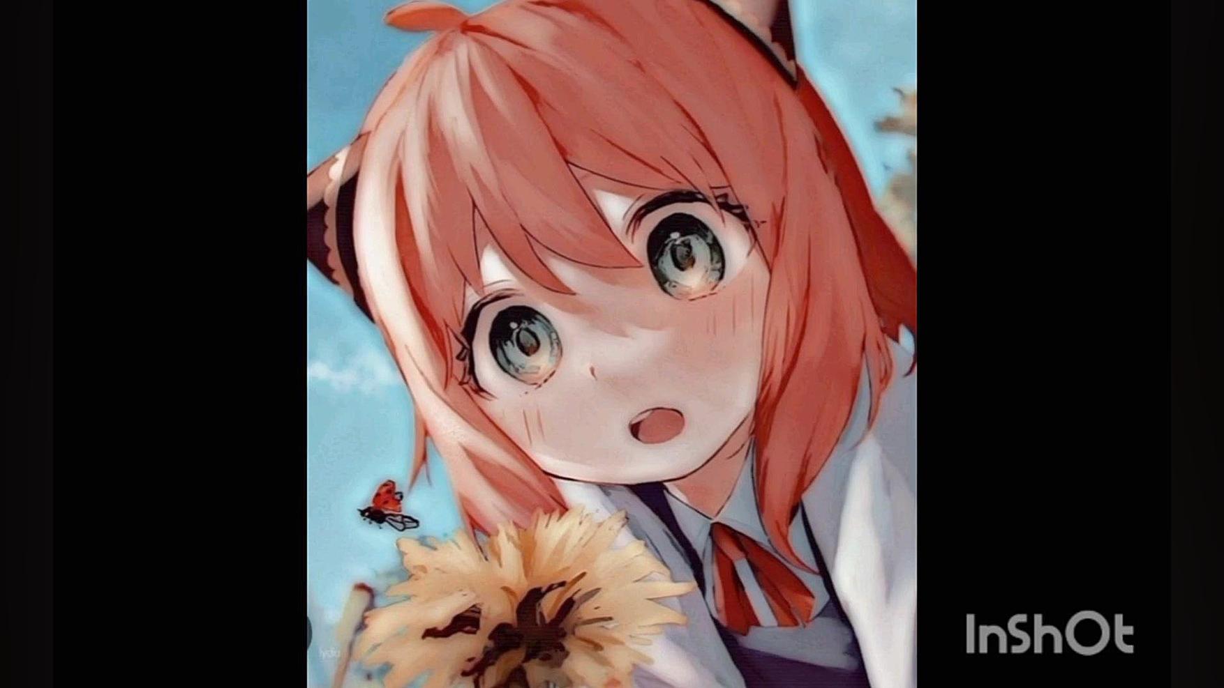 آنیا دامیان