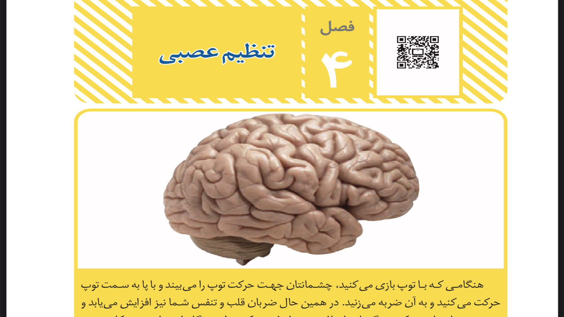 تدریس درس چهارم علوم تجربی هشتم(تنظیم عصبی) با مایند مپ ( Mind map ) اکتروپیون