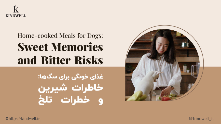 غذای خونگی برای سگ‌ها: خاطرات شیرین و خطرات تلخ