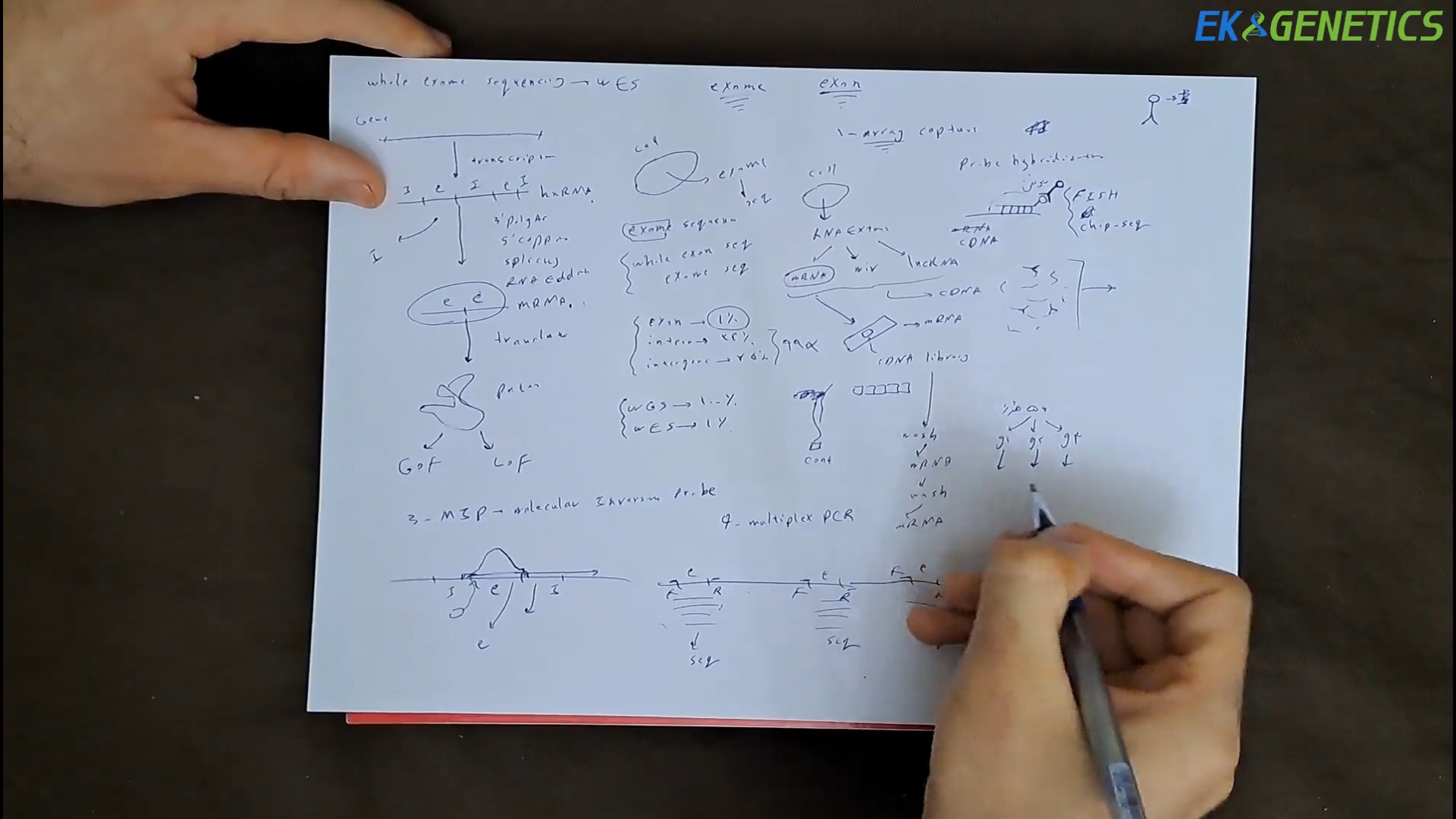 تکنیک Whole Exome Sequencing در ژنتیک چیست و چه کاربردی دارد ؟ مهران مدیری
