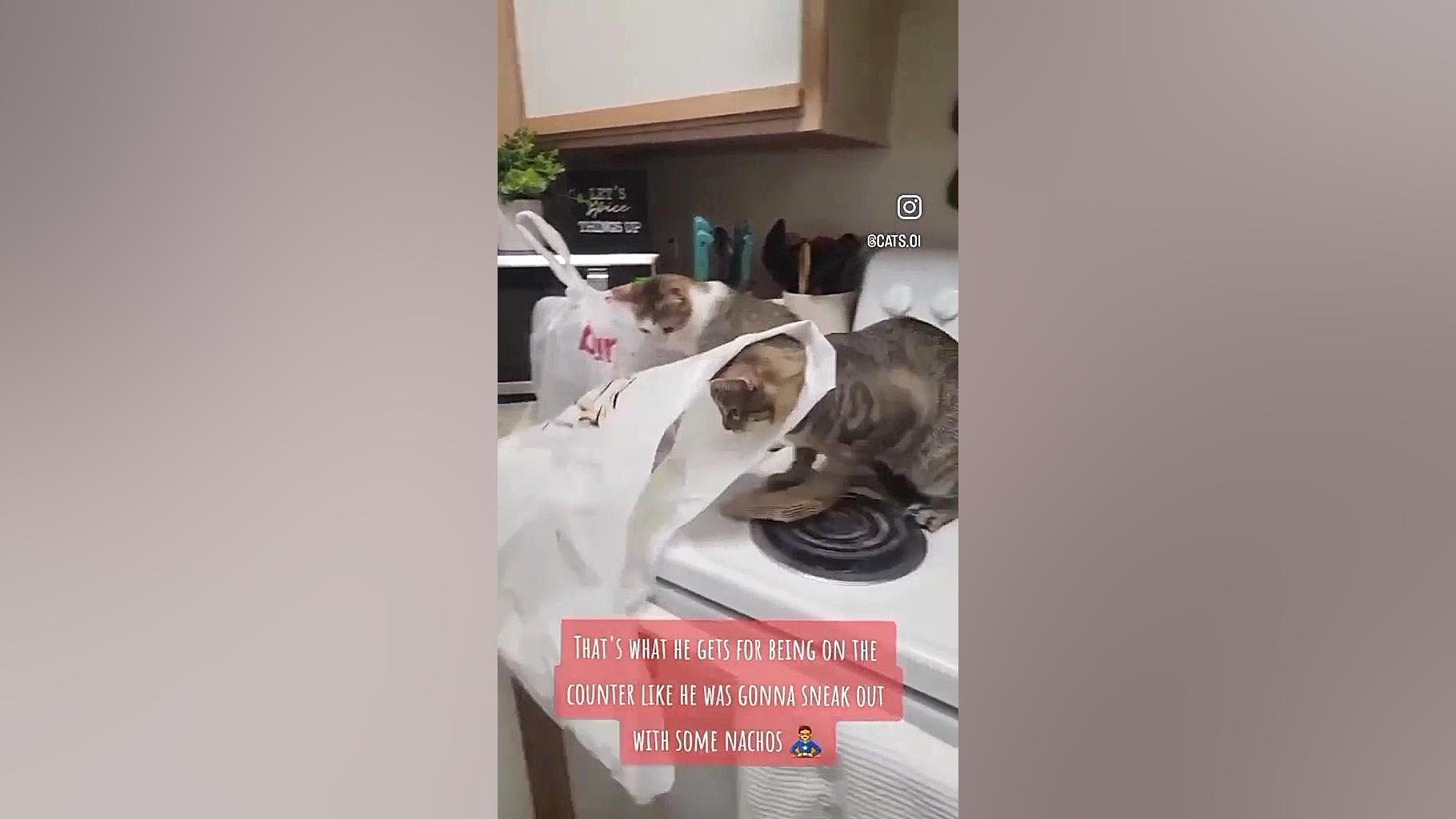 فیلم خنده دار کلیپ طنز طنز خند...