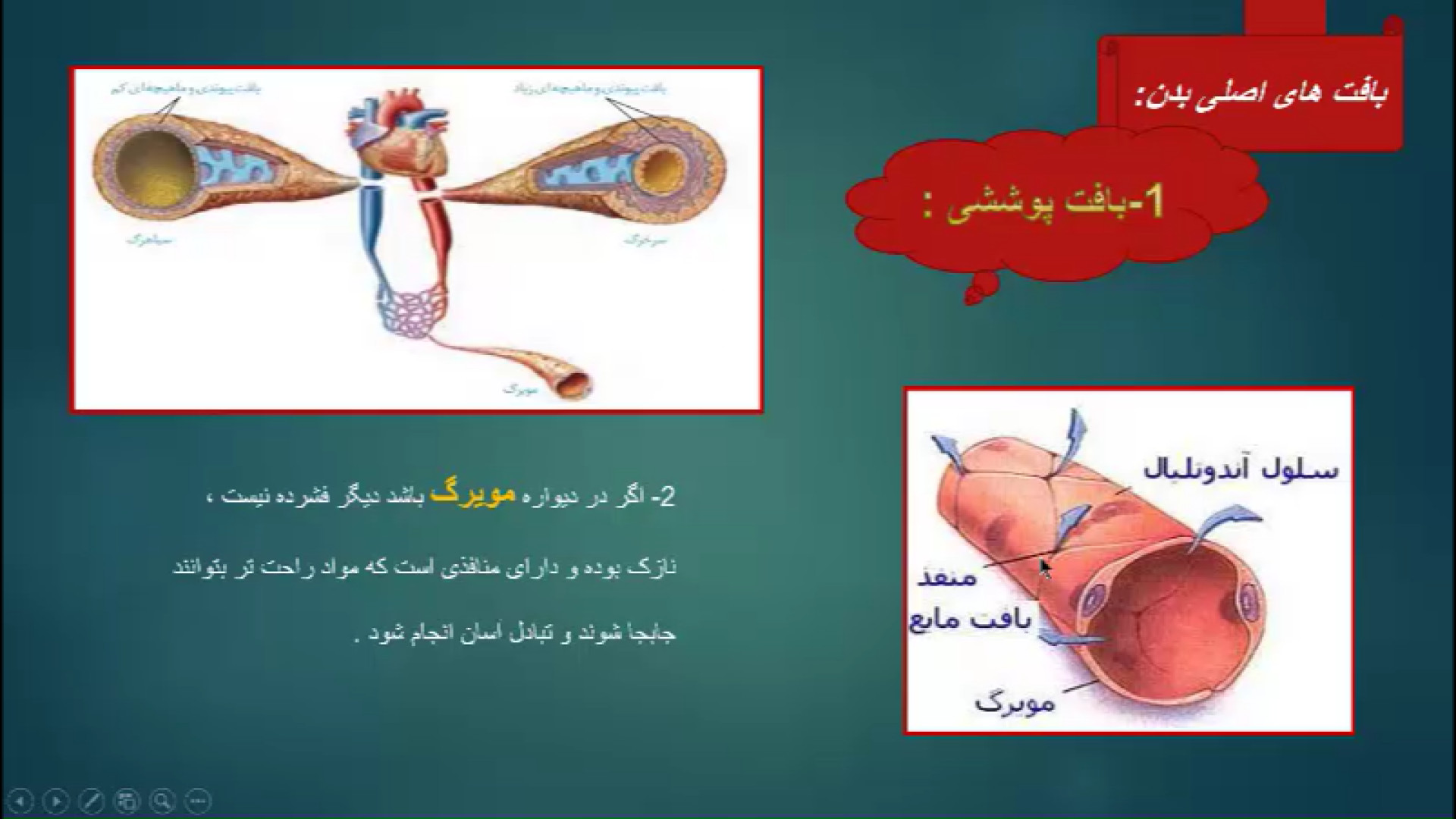 علوم هفتم - فصل 11 - جلسه 3 ( یاخته و سازمان بندی آن ) رفع غبغب