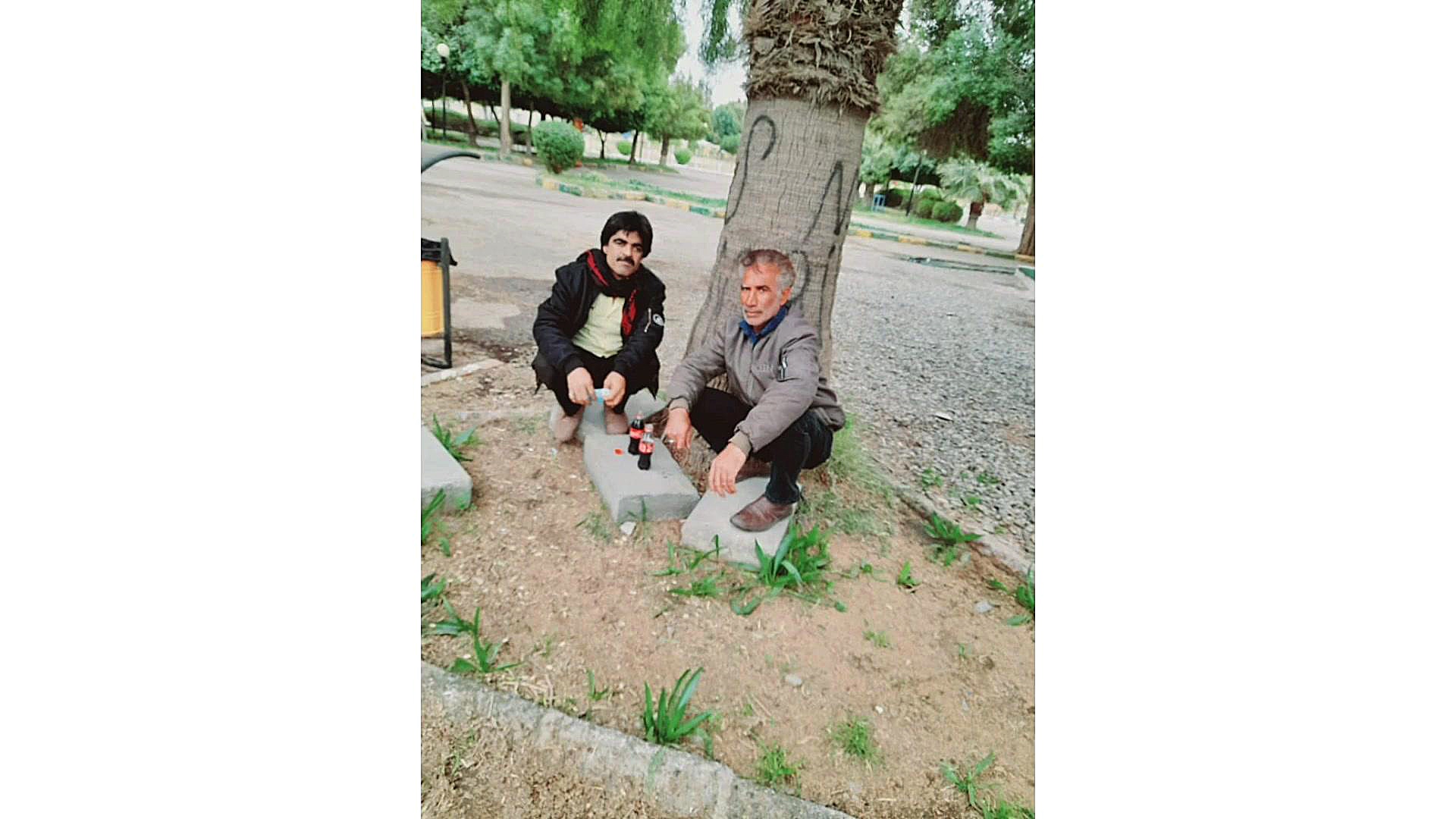 نی کردی فاریاب