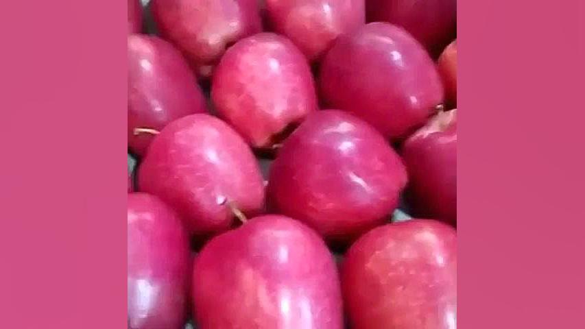 نبشی پلاستیکی پالت 09199762163