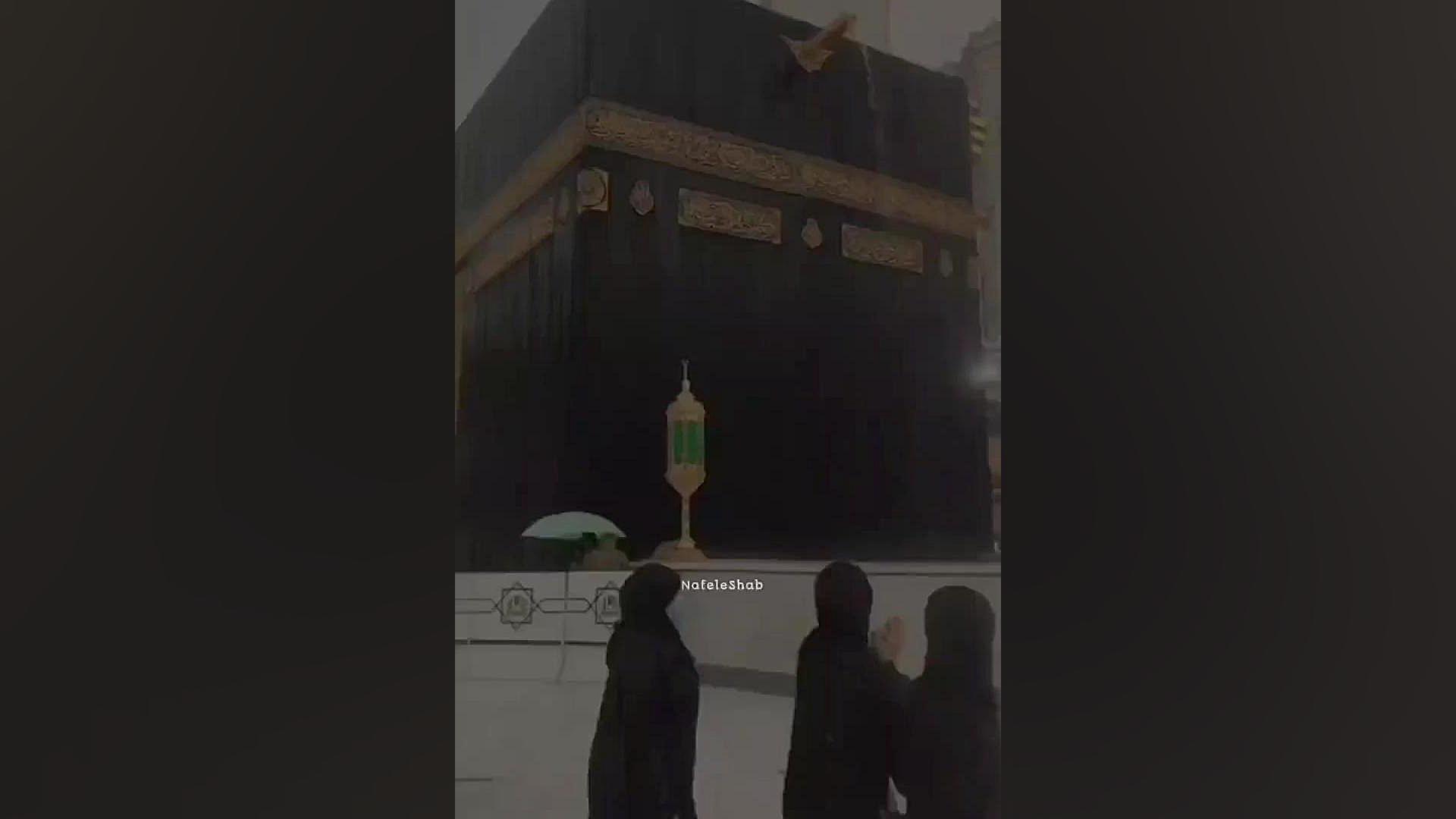 آیت‌الله بهجت کرانیوسینوستوز