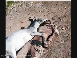 تک تیرانداز ایرانی و شکار شاه...