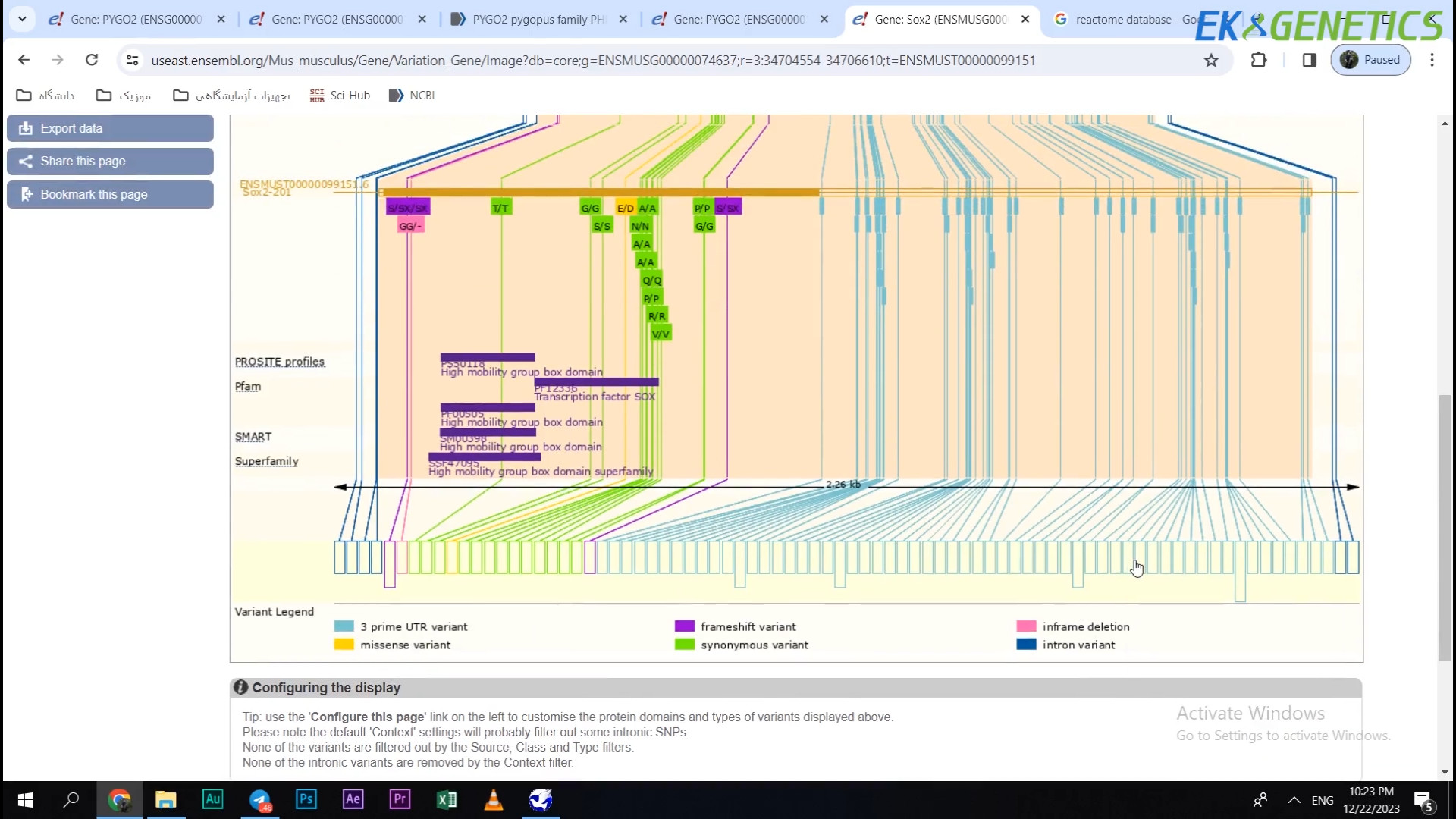 بیوانفورماتیک - آشنایی با دیتابیس Ensembl کلینیک زیبایی