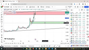تحلیل , استکس , STX , دی , منظور , مشاهده , جزئیات , وارد , لینک , شوید , https: , zoomarz , com , stx-analysis
