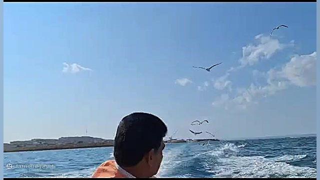 پوستر بزرگ