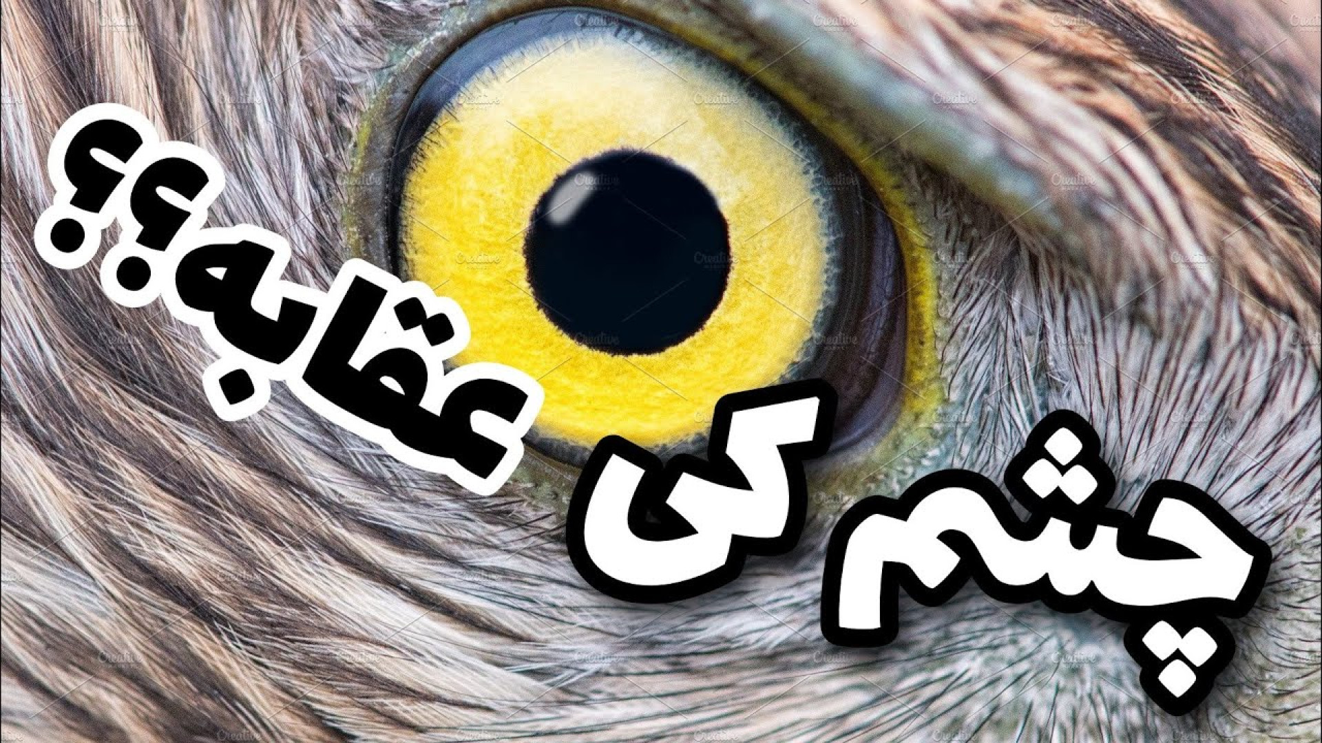 تست های جالب بینایی کربوکسی تراپی