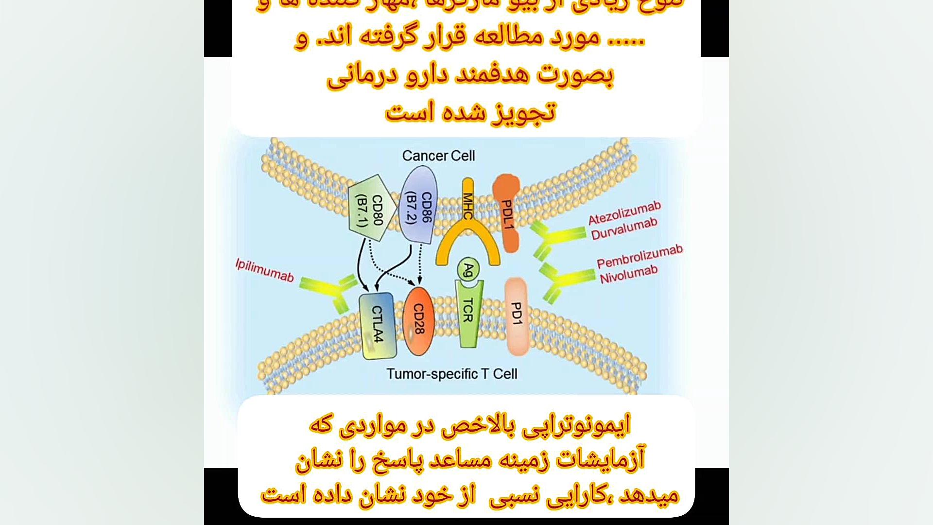 درمان اختصاصی در سرطان سینه مجله آنکولوژی ( دکتر رضا )خدابخشی