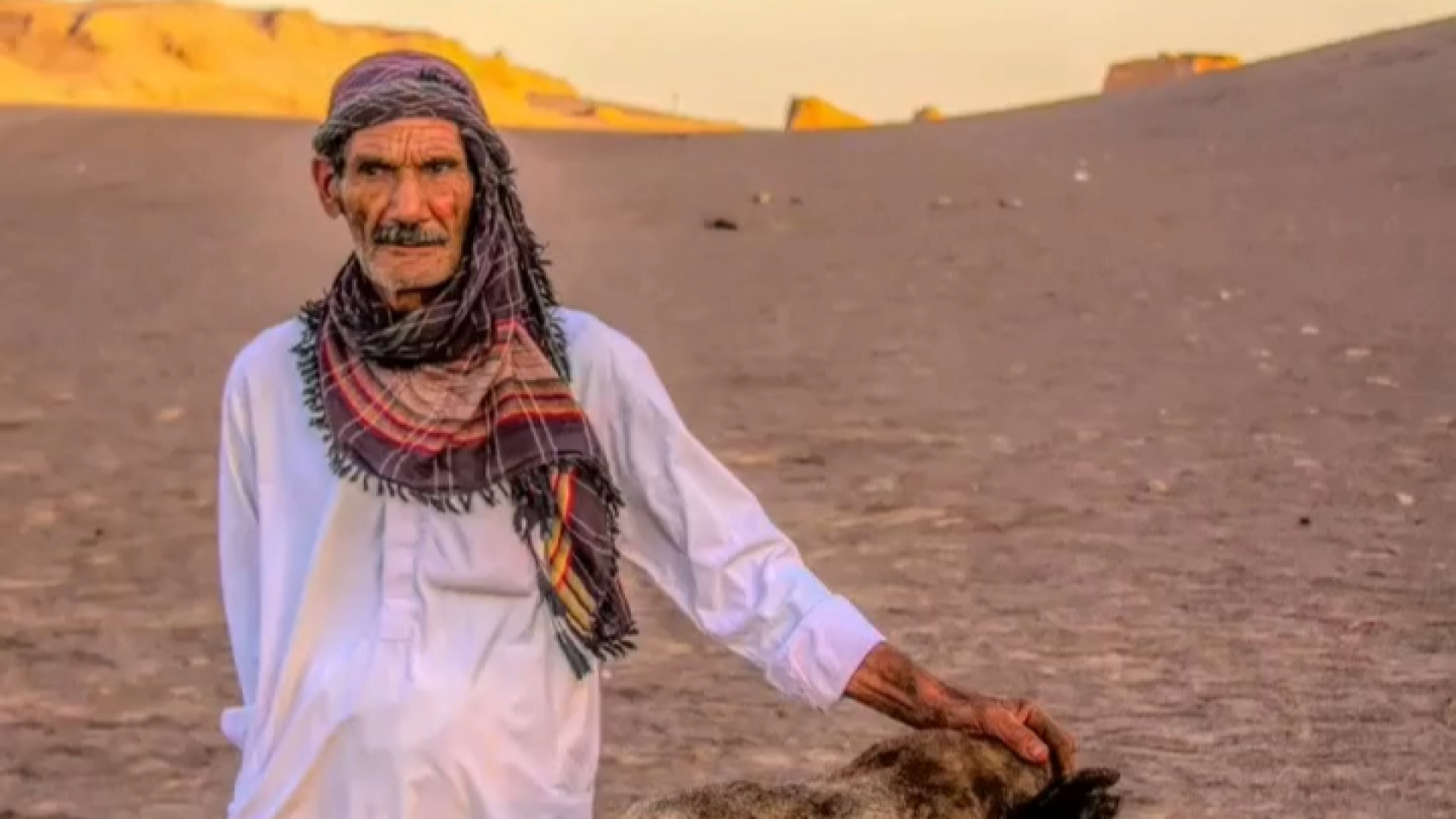 پوستر بزرگ
