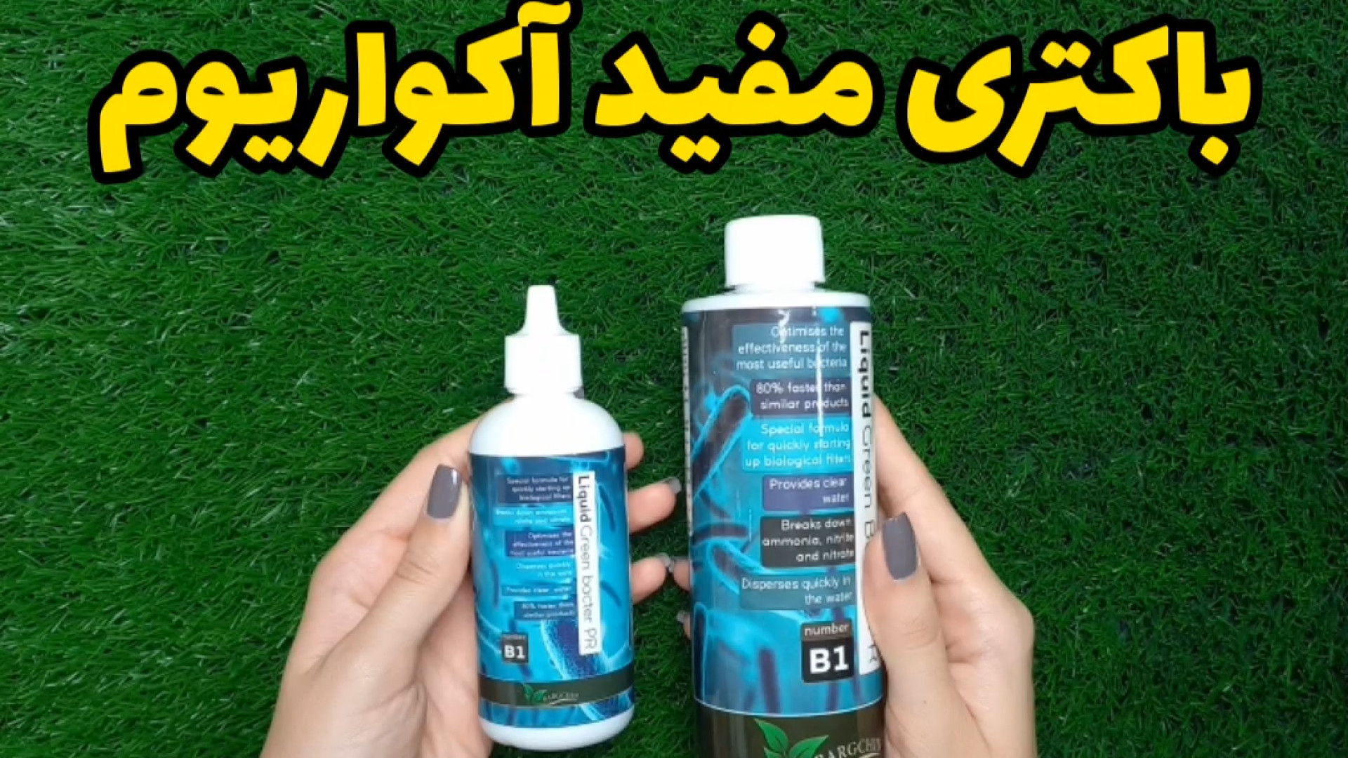محلول باکتری مفید آکواریوم برگچین(Bargchin Green Bacter 100,250ml) کرانیوسینوستوز