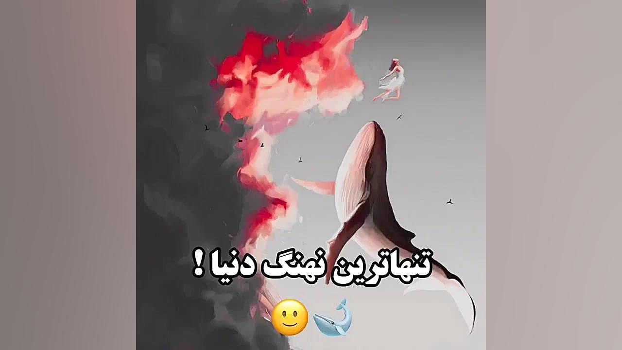 تنها ترین نهنگ دنیا:) سحر دولتشاهی
