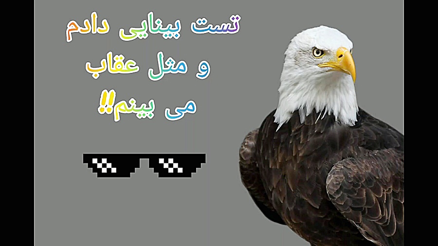 تست بینایی رنگ دادم!! من مثل چه موجودی می بینم؟ موش کنگره