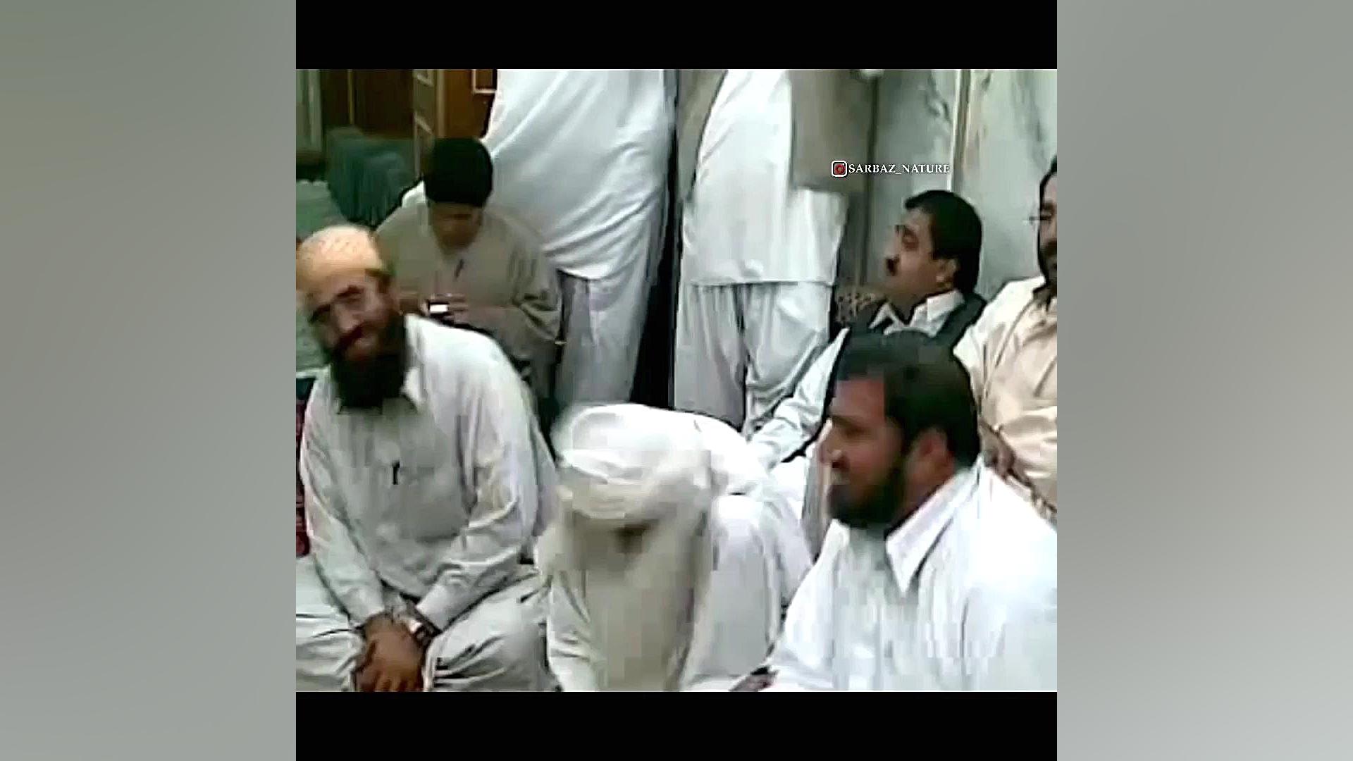 موسیقی درمانی لاکپشت رقصان