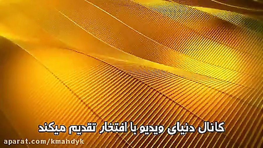 باب اسفنجی شلوار مکعبی