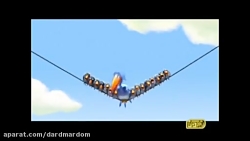 گنجشک های بی ادب و در نهایت .....