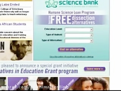 حقوق حیوانات چیست؟