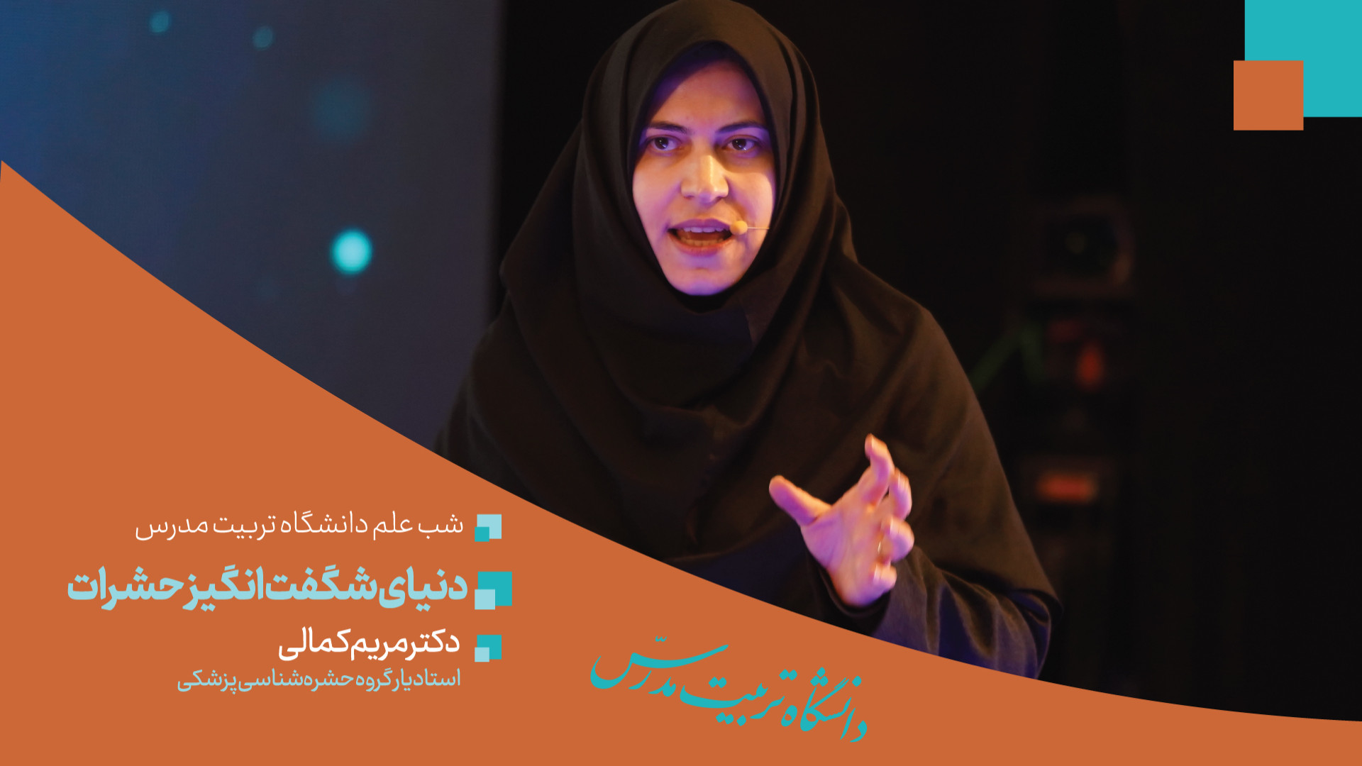 دنیای شگفت&zwnj;انگیز حشرات