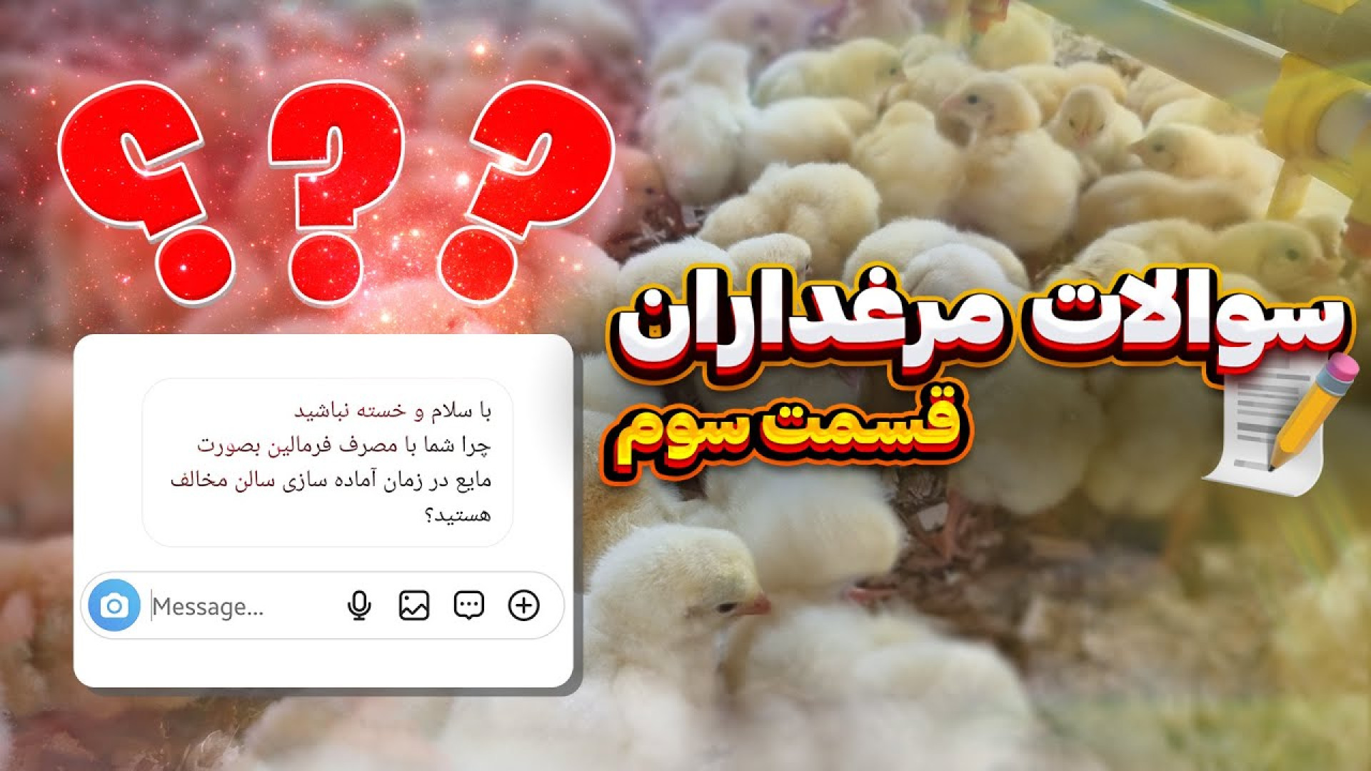 پاسخ به سوال مرغدار (قسمت سوم): چرا برای ضدعفونی از فرمالین استفاده نکنیم؟؟؟ دکتر محمد مهدی عبدالهی (دامپزشک)