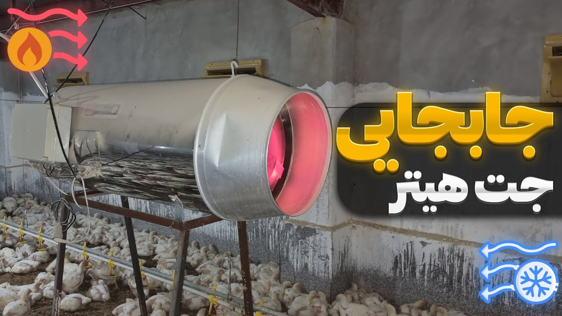 اصلاح جایگاه هیتر جت در زمان افت دمای سالن مرغداری دکتر محمد مهدی عبدالهی (دامپزشک)